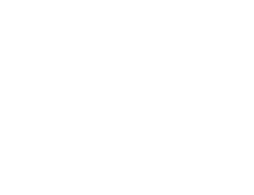 Wedding Trends